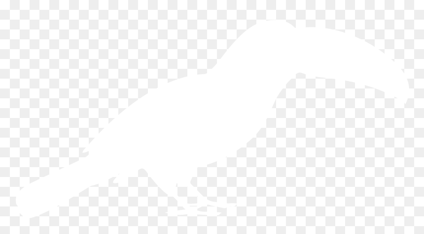 Johns Hopkins Logo White, HD Png Download - toucan png