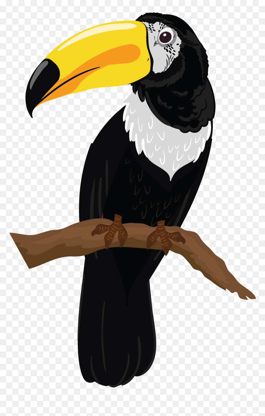 Toucan, HD Png Download - toucan png