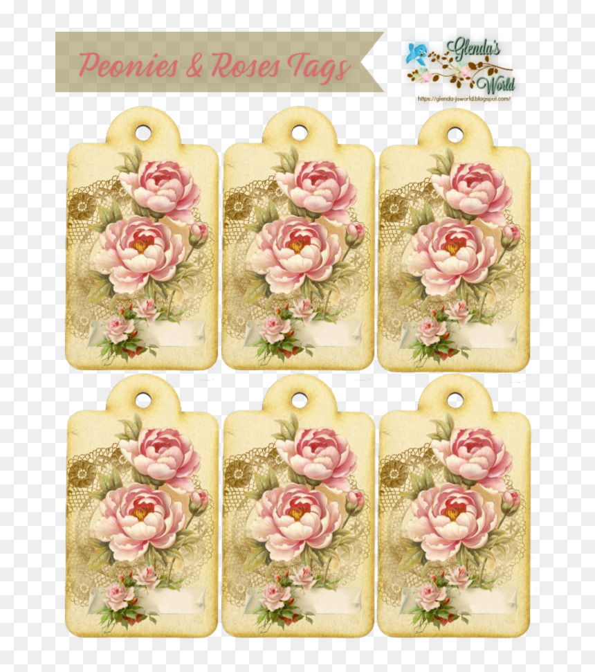 Garden Roses, HD Png Download - peonies png