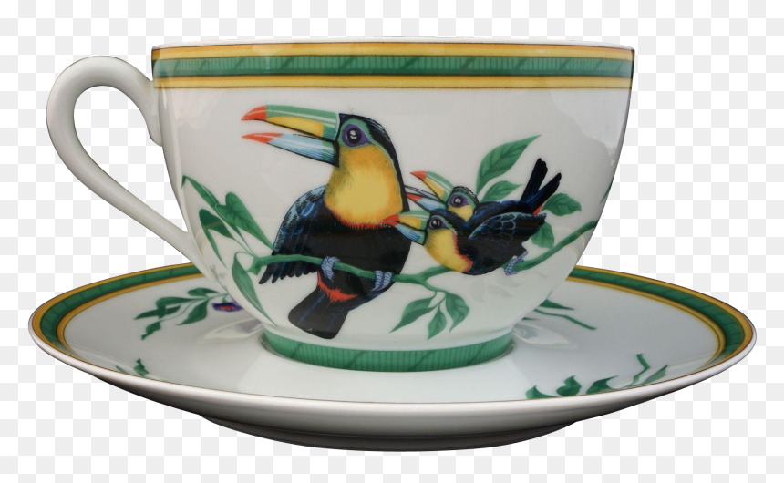 Hermes Toucan, HD Png Download - toucan png