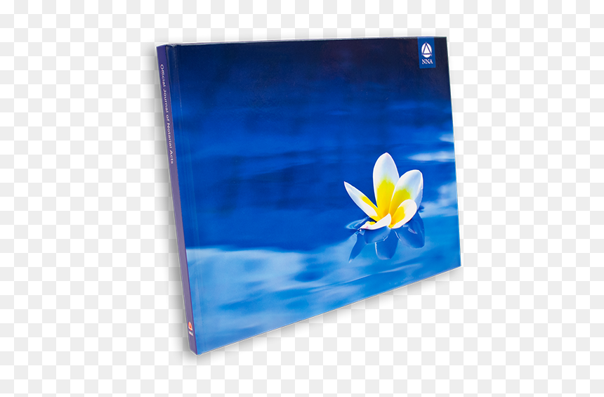 Deluxe Journal - Plumeria Flower - Crocus, HD Png Download - plumeria png