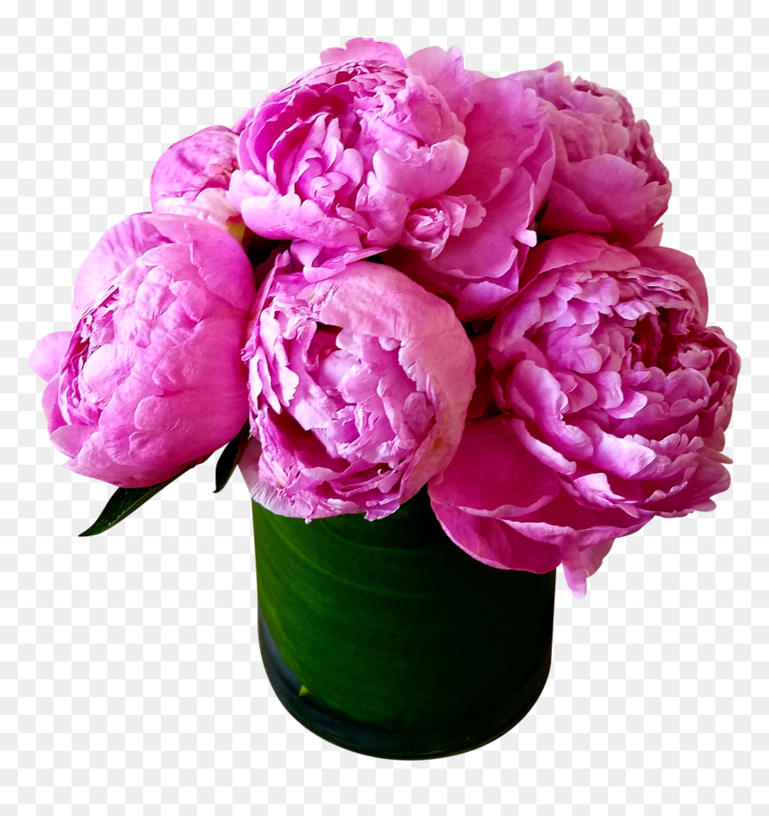 Birthday Hot Peonies - Lancome Parfüm Miracle Secret, HD Png Download - peonies png