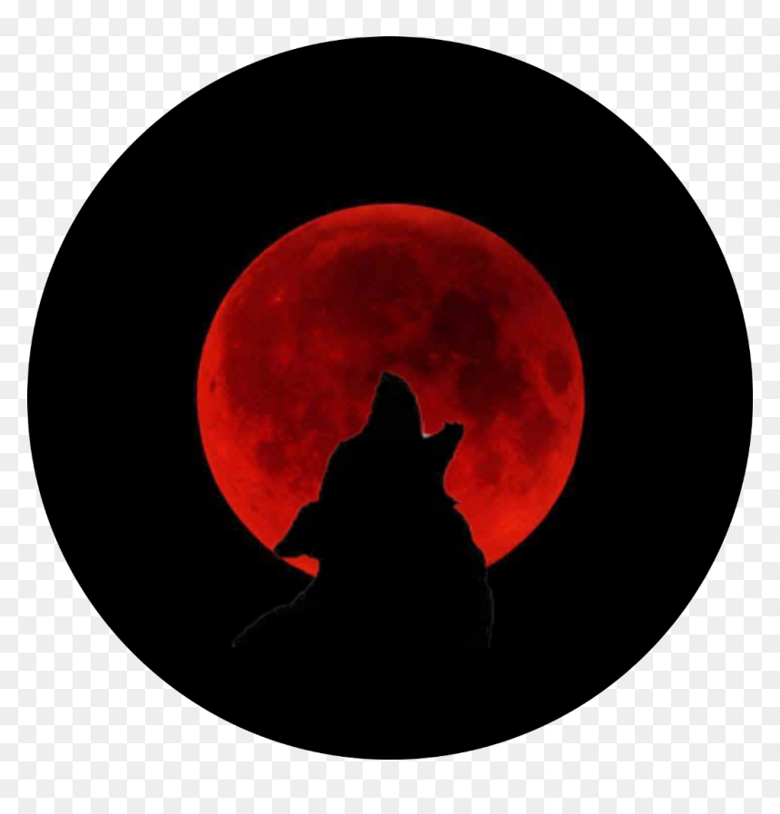 Transparent Wolf Howling Clipart - Parco Naturale Regionale Del Beigua, HD Png Download - wolf howling png