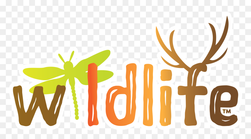 Thumb Image - Wildlife Logo Png, Transparent Png - life png