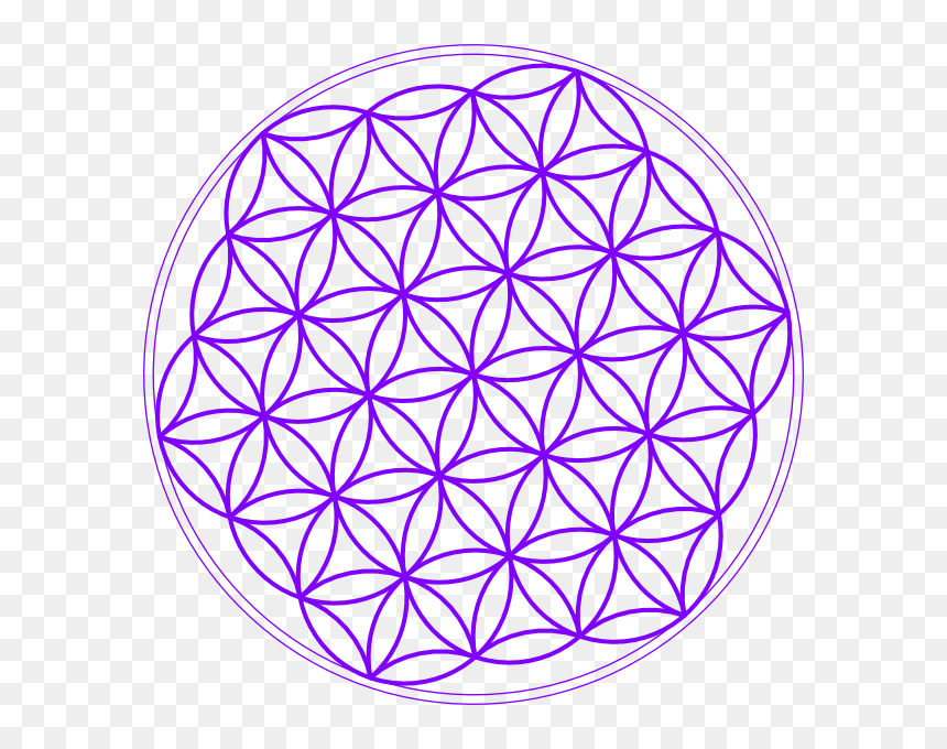 Flower Of Life Clipart Png Freeuse Download Flower - Clipart Black And White Mandala Hd, Transparent Png - life png