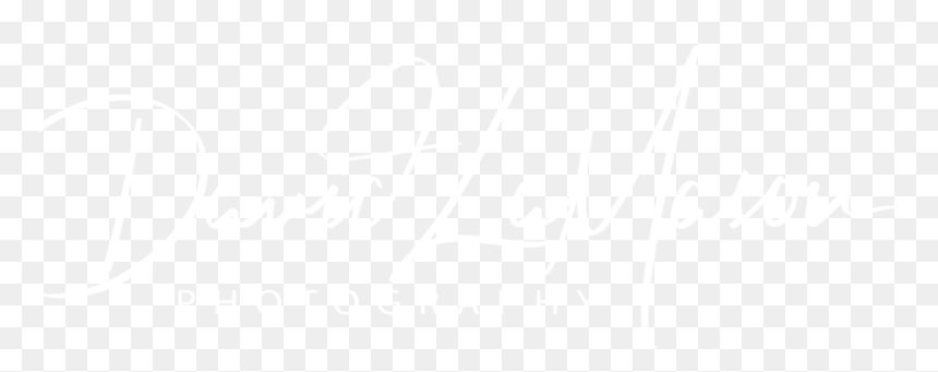 David Lamason - Johns Hopkins Logo White, HD Png Download - live music png