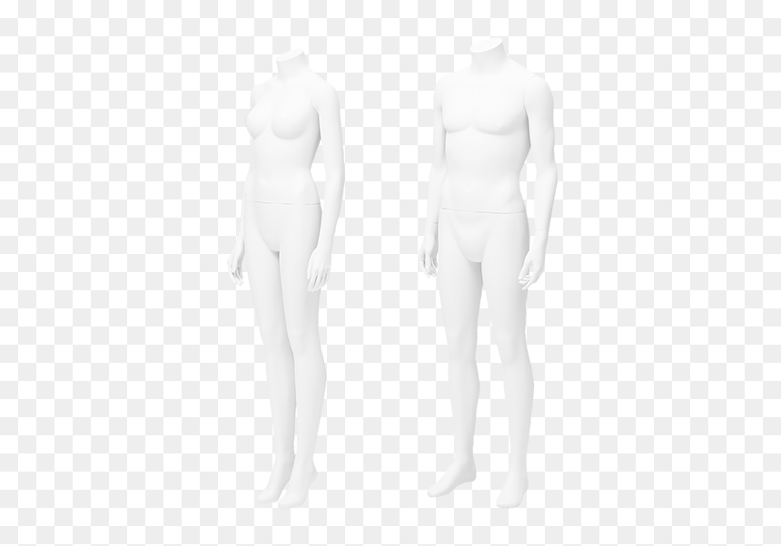 And Bust Form Hire - Mannequin, HD Png Download - mannequin png
