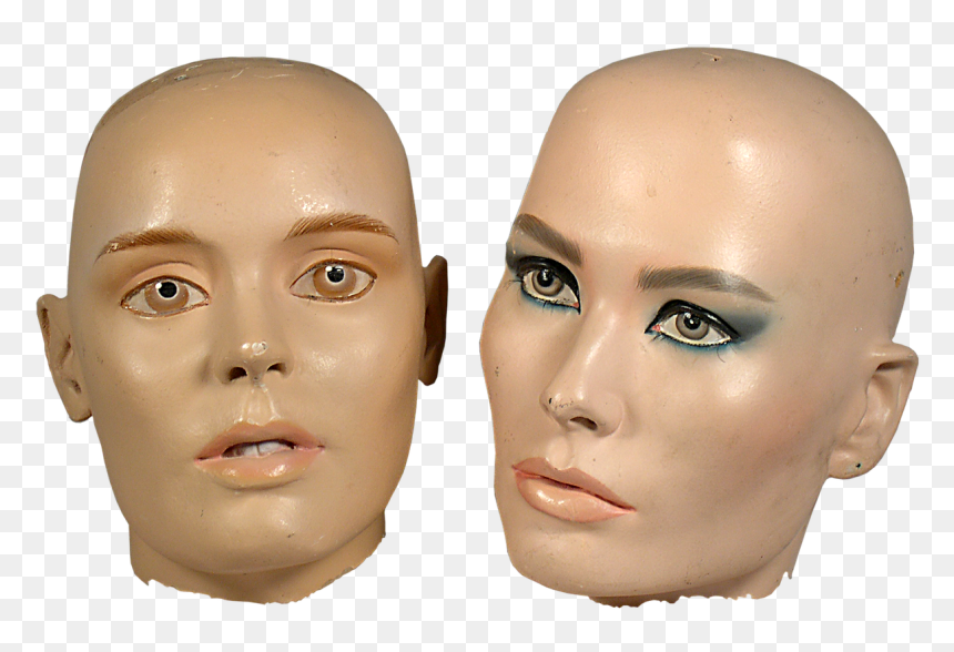 Woman Mannequin Head Png, Transparent Png - mannequin png