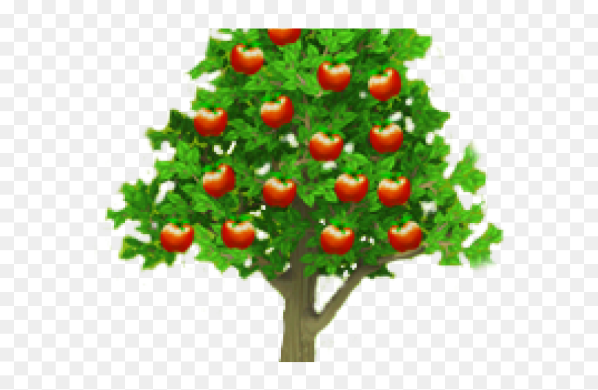 Picture Of Apple Tree - Apple Tree Png, Transparent Png - apple tree png