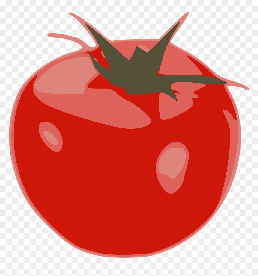 Tomato, HD Png Download - vegetable png