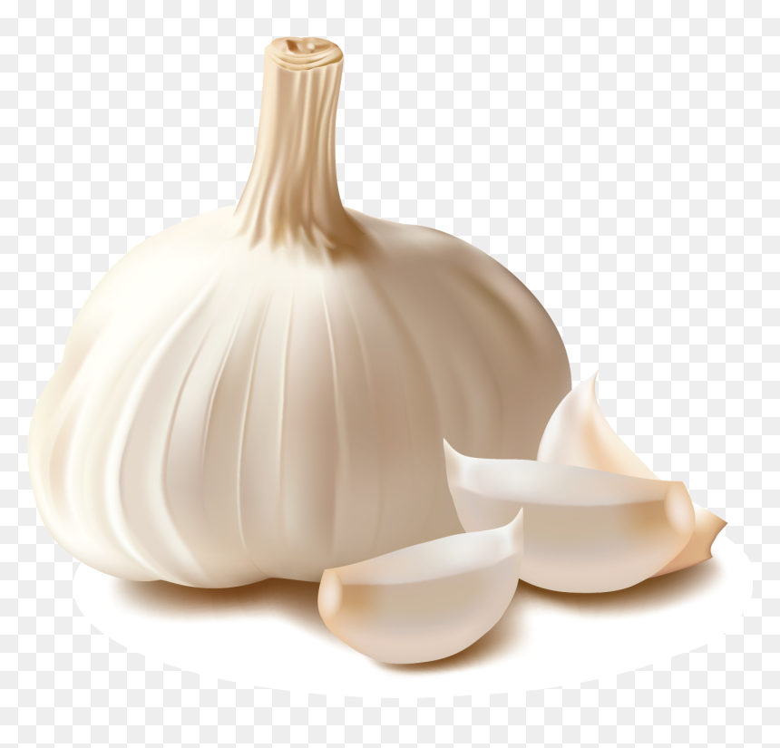 Garlic Clipart Png, Transparent Png - vegetable png