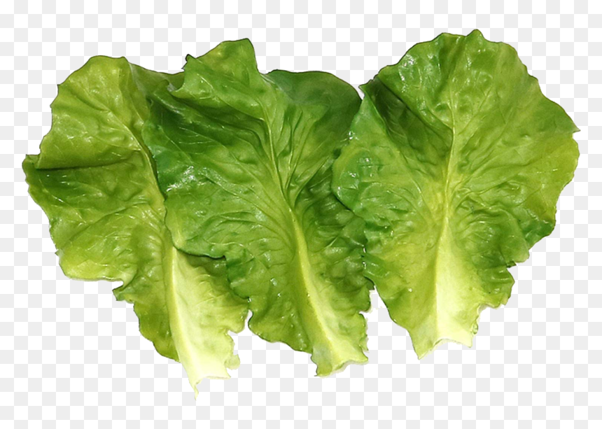 Vegetable Green Leaves Png Photo - Lettuce, Transparent Png - vegetable png