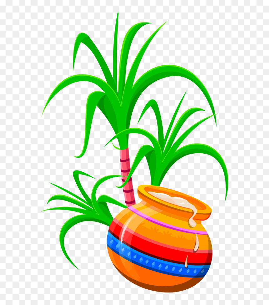 Transparent Pongal Houseplant Flowerpot Leaf For Thai - Happy Pongal Greeting Cards, HD Png Download - flower pot png