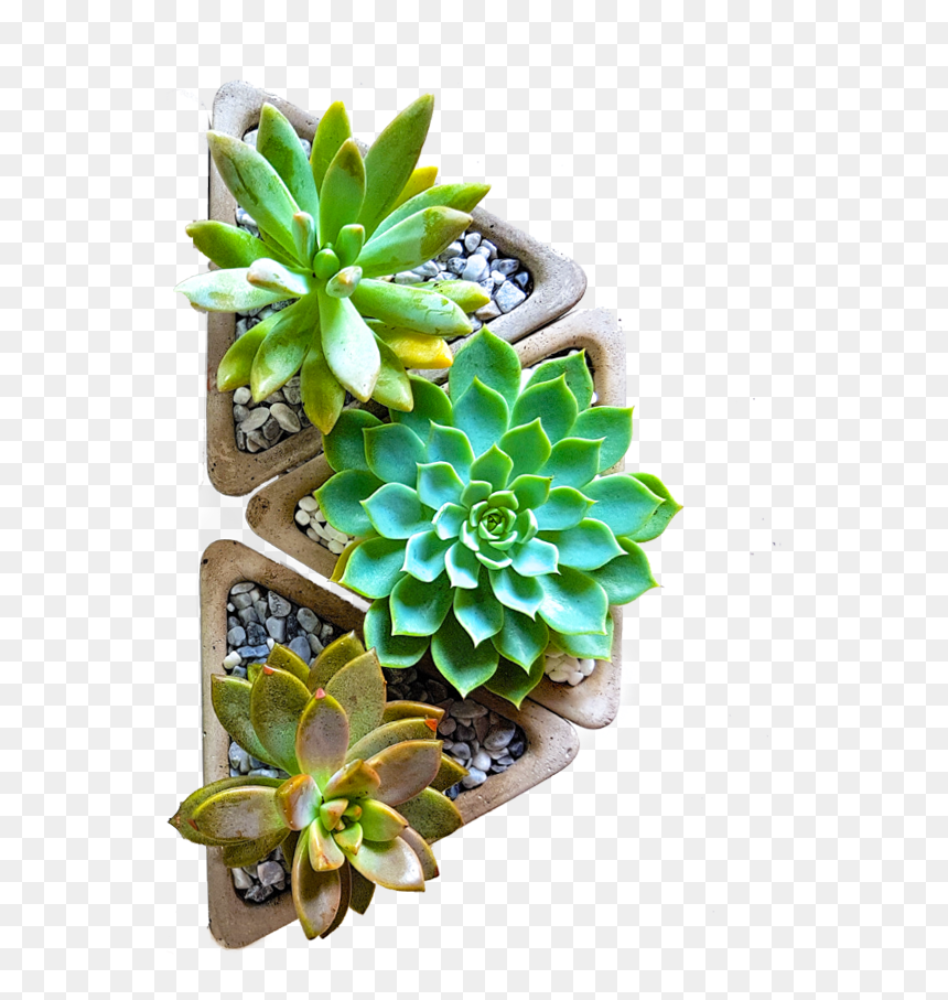 Share The Joy Of Planting - Flowerpot, HD Png Download - flower pot png