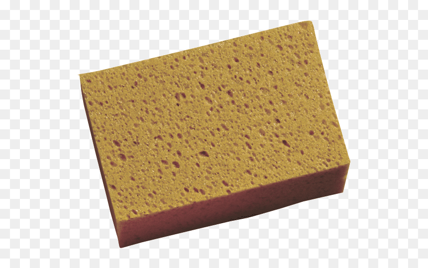Tafelschwamm 150x100x50 - Teacher, HD Png Download - andy biersack png