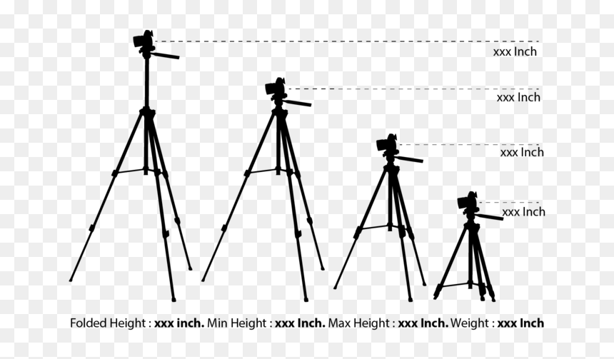 Silhouette Camera Tripod Vector - Tripod, HD Png Download - camera silhouette png