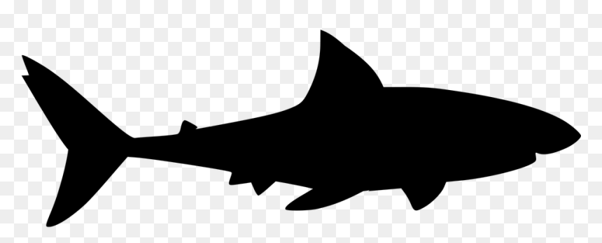 Big Silhouette Shark, HD Png Download - fish silhouette png