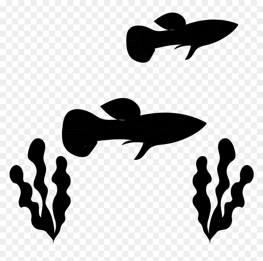 Guppy Juvenile Fish Clip Art Tropical Fish - Pet Fish Silhouette Transparent Background, HD Png Download - fish silhouette png