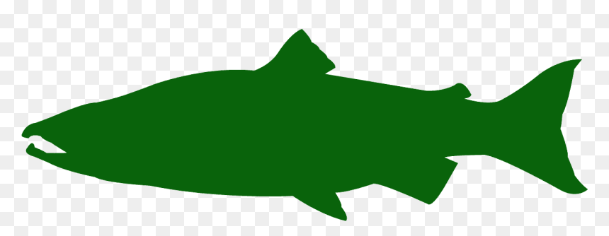 Free Vector Silhouettes Creazilla, HD Png Download - fish silhouette png