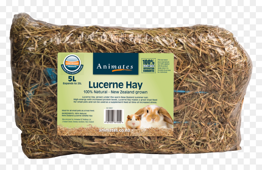 Guinea Pig, HD Png Download - hay png