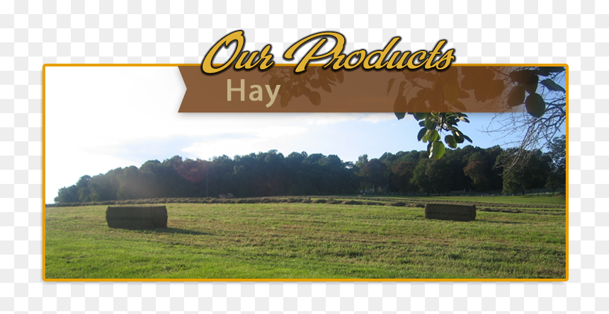 Hay Png, Transparent Png - hay png