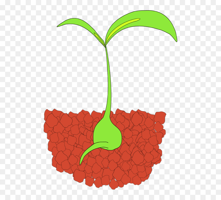 Sprout Clipart Transparent - Seedling Clip Art, HD Png Download - sprout png