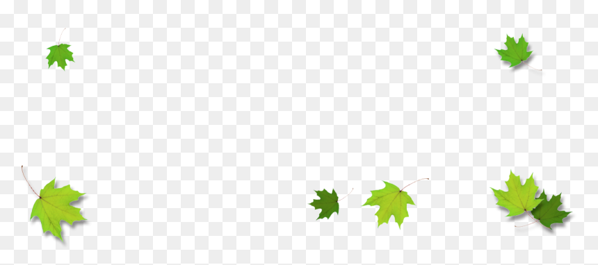 Green Maple Leaf Border, HD Png Download - fall leaf border png