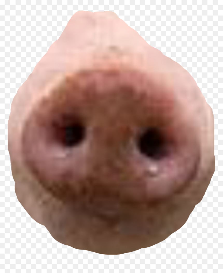 Fish, HD Png Download - pig nose png