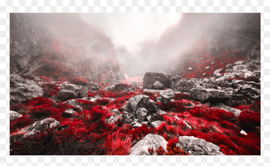 Foggy Valley, HD Png Download - red fog png