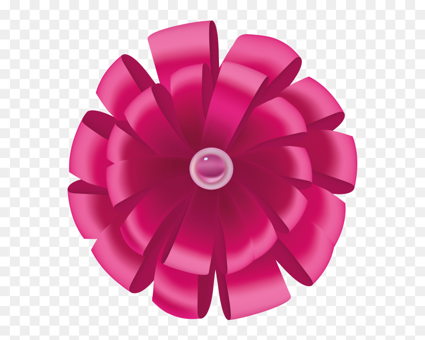 Circle, HD Png Download - shoelace png
