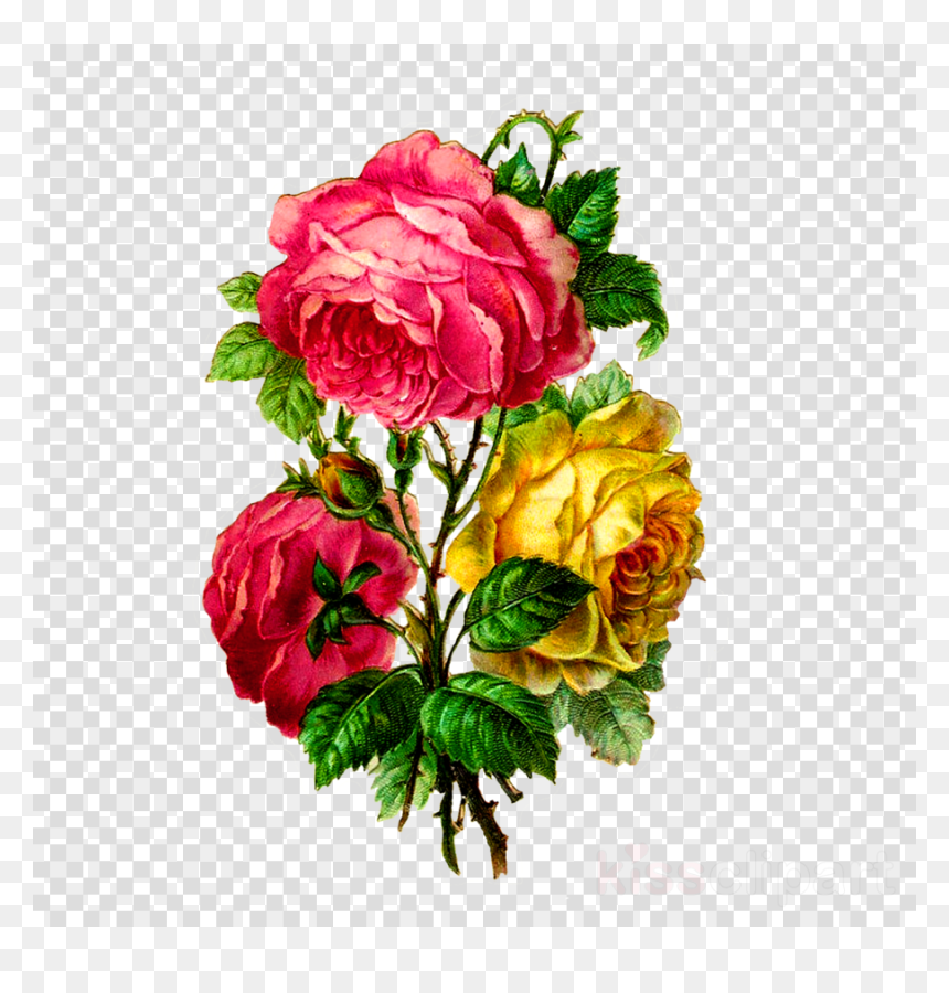 Flower, HD Png Download - garden flowers png
