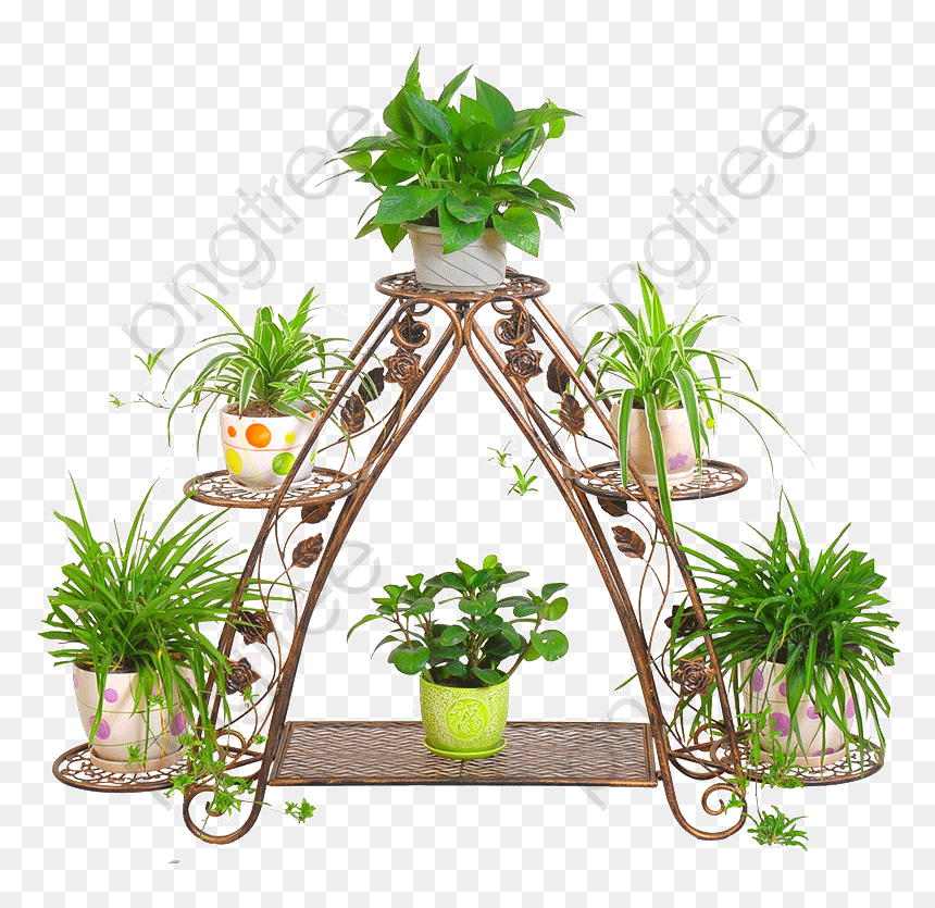 Flower Stand Png, Transparent Png - garden flowers png