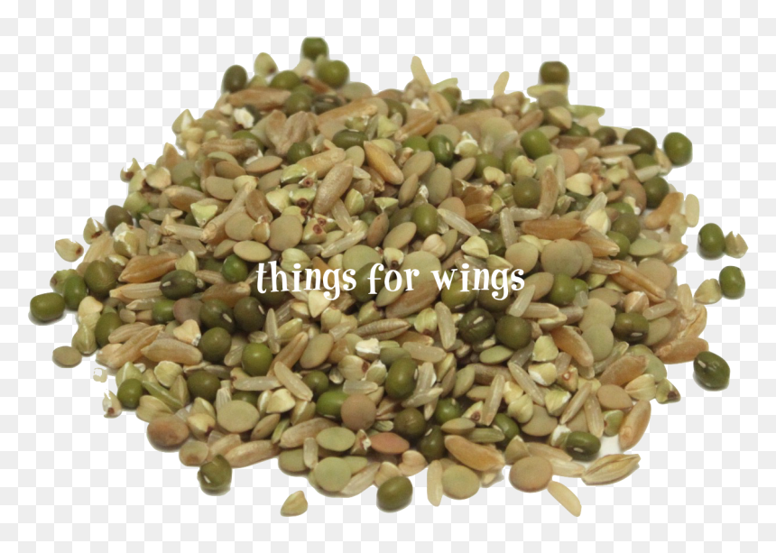 Organic Protein Power ~ Sprout Mix, HD Png Download - sprout png