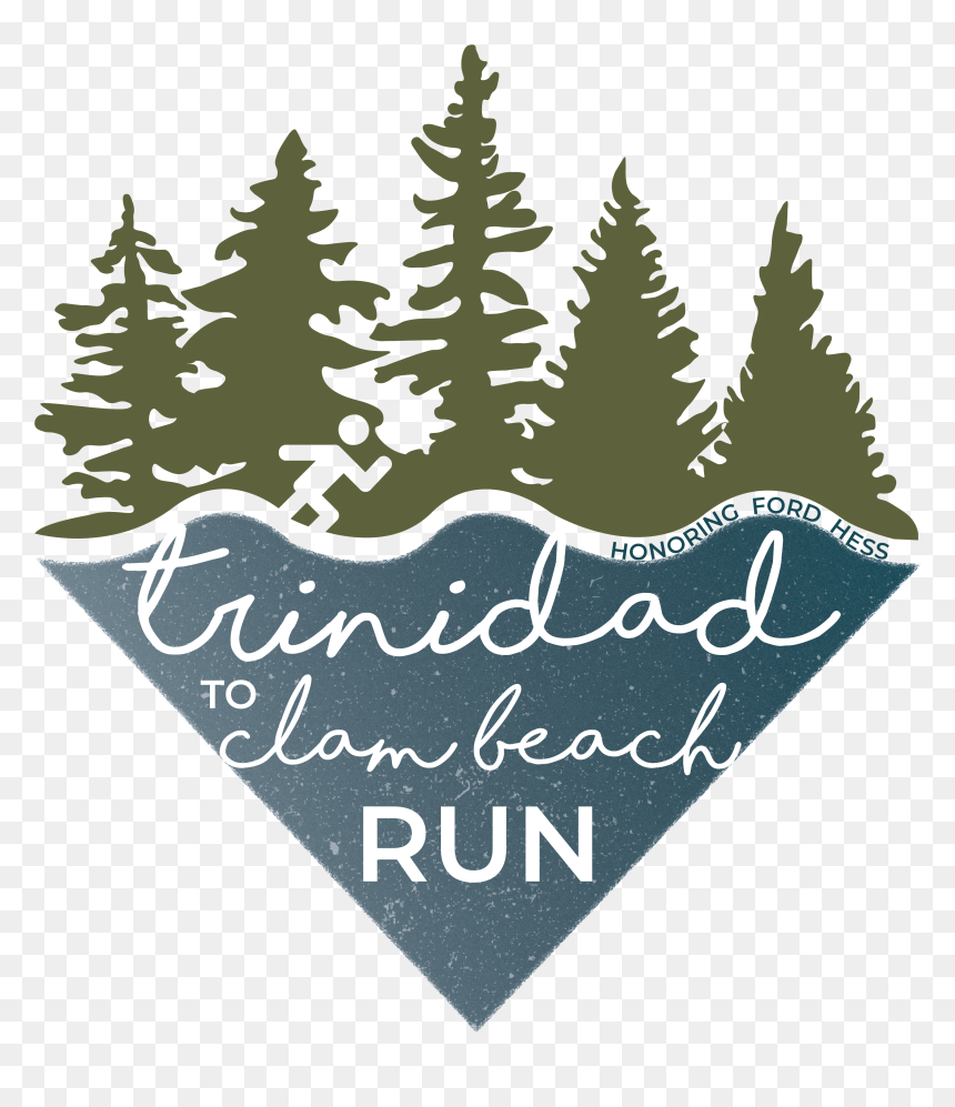 Trinidad To Clam Beach Run - Christmas Tree, HD Png Download - clam png