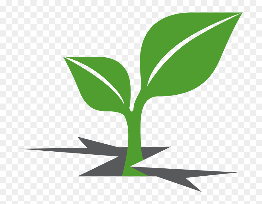 Plant Sprout Clipart - Crime Victims Treatment Center, HD Png Download - sprout png