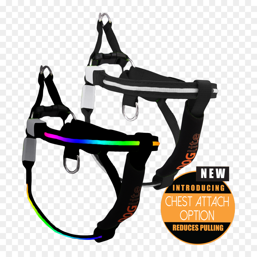 Mini Dog Led Dog Harness - Pet Harness, HD Png Download - northern lights png