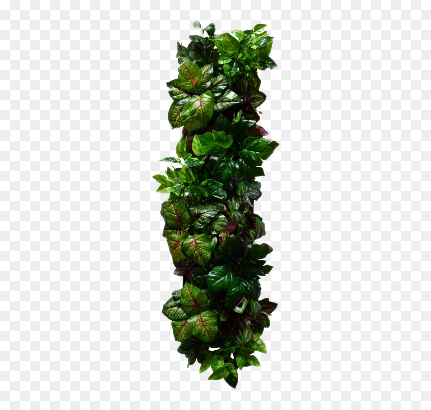 Wall Decor Png File - Brussels Sprout, Transparent Png - sprout png