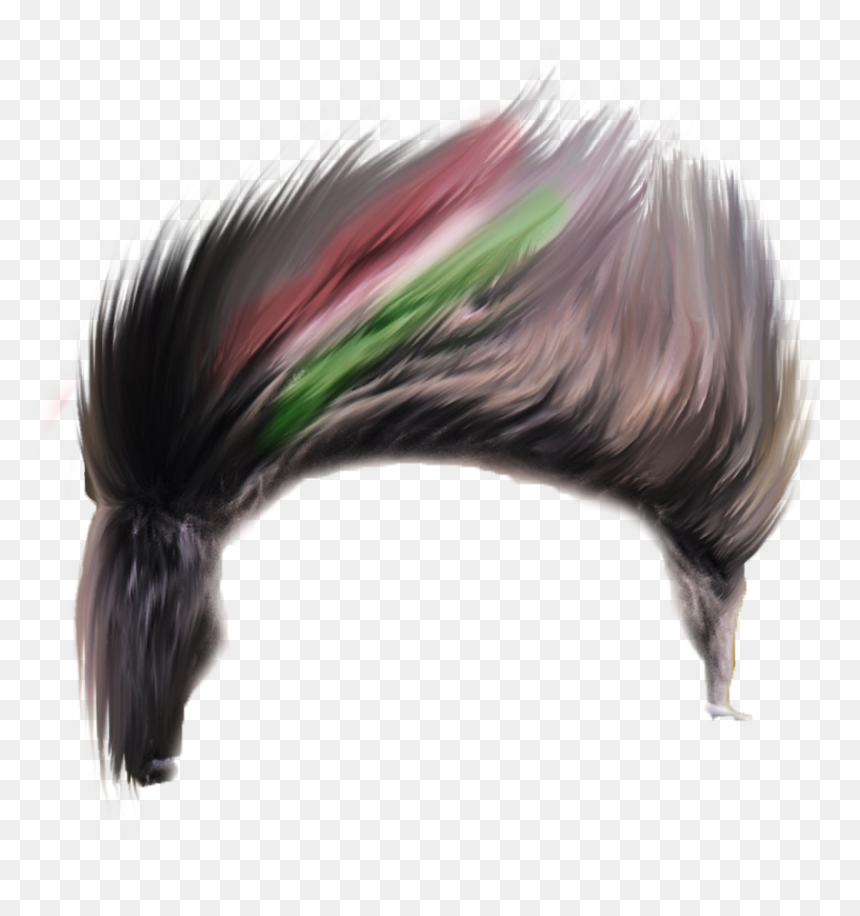 Hairs Png, Transparent Png - hairs png
