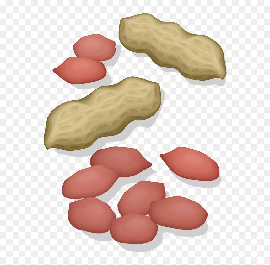 Peanuts - Kacang Tanah Cartoon Png, Transparent Png - groundnut png