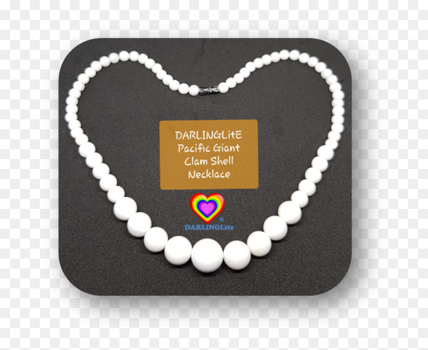 Clam Png, Transparent Png - clam png