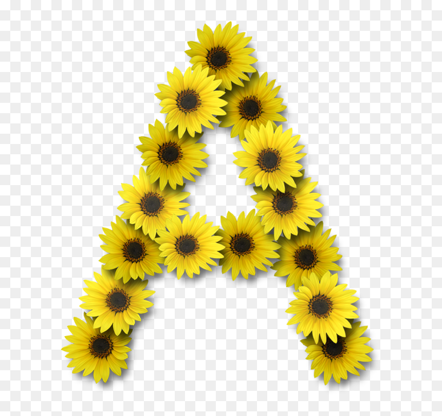 Sunflower Alphabet Letters Png, Transparent Png - alphabets png