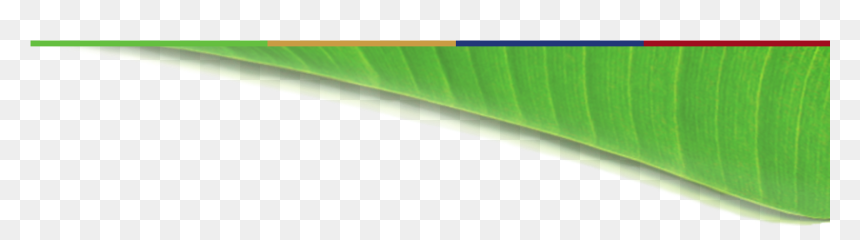 ิ Banana Leaf Bg , Png Download - ิ Banana Leaf Bg, Transparent Png - full banana leaf png