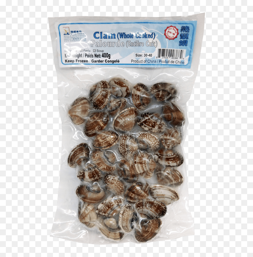 Cockle, HD Png Download - clam png