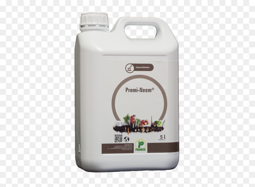 Neem Tree Png, Transparent Png - neem tree png