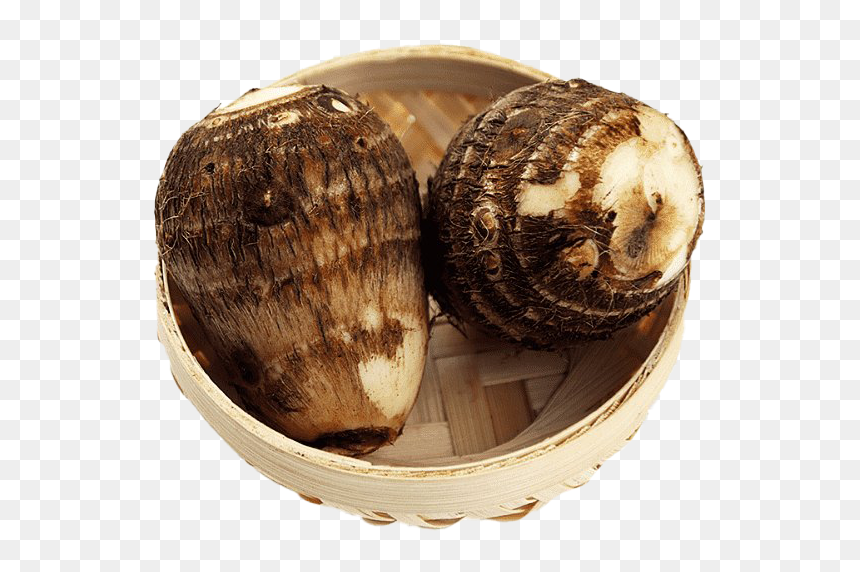 Taro Png Hd Image - Purple Yam, Transparent Png - clam png