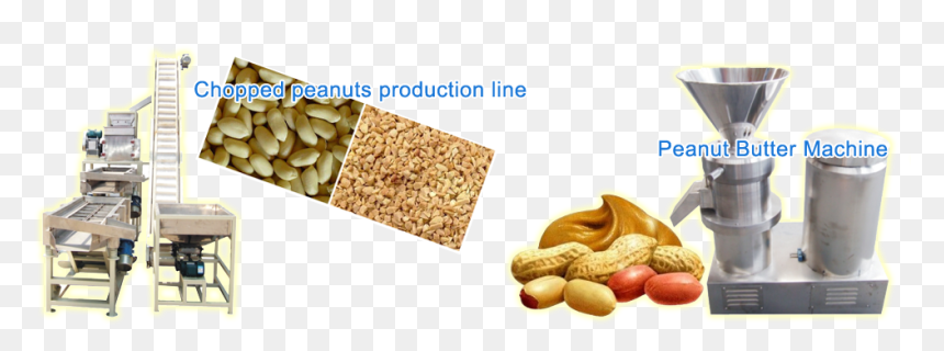 Peanut, HD Png Download - groundnut png