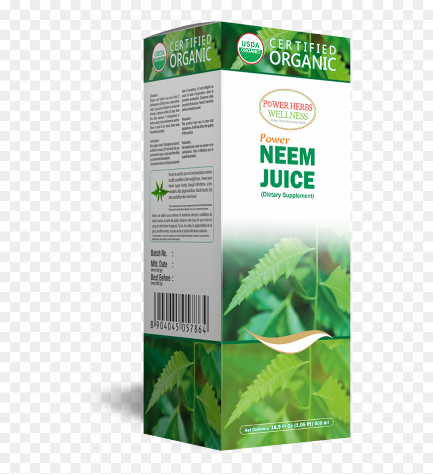 Aloe, HD Png Download - neem tree png