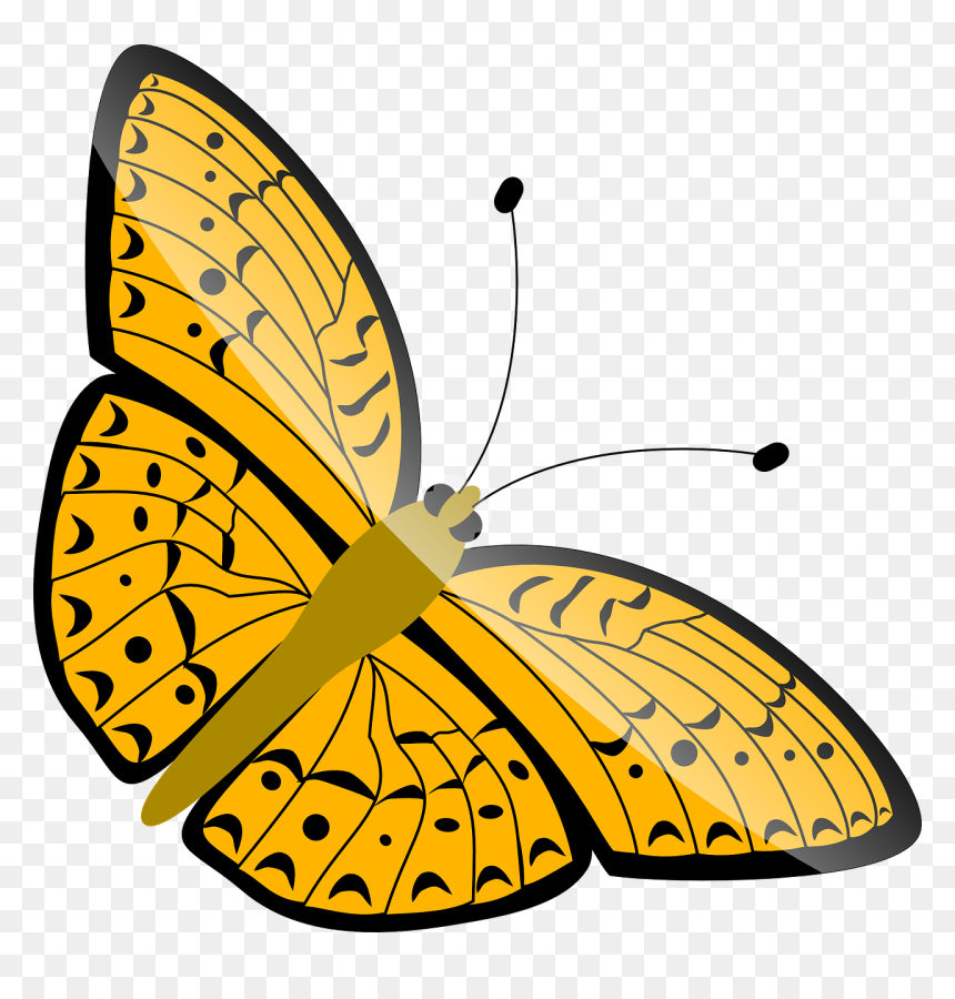 Clip Art Butterfly, HD Png Download - butter fly png