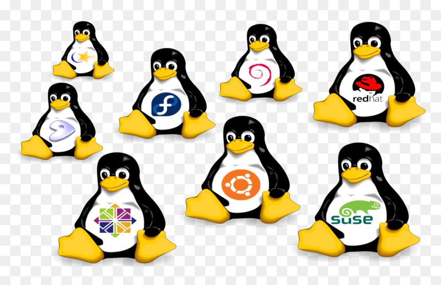 Linux Hosting Clipart Hosting Png - Linux Distributions, Transparent Png - hosting png
