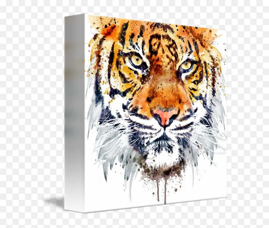 "tiger Face Closeup - Paint A Tiger Face, HD Png Download - tiger png hd